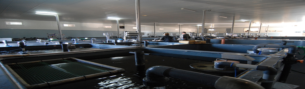 banner01new.jpg