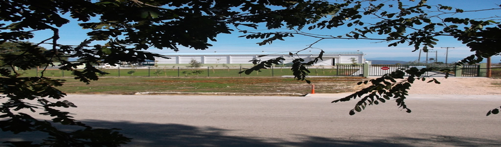 banner02new.jpg