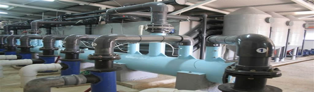 banner04new.jpg