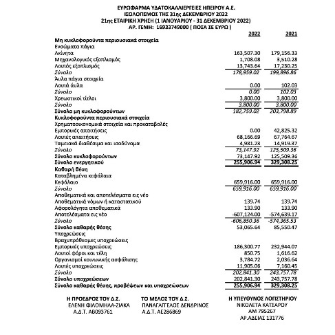 Ισολογισμός 2022
